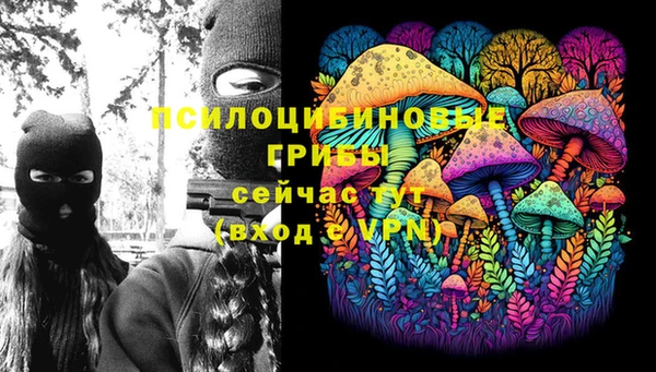 каннабис Богородицк