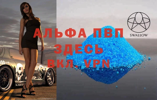 гашиш Богданович