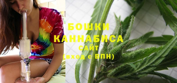 гашиш Богданович