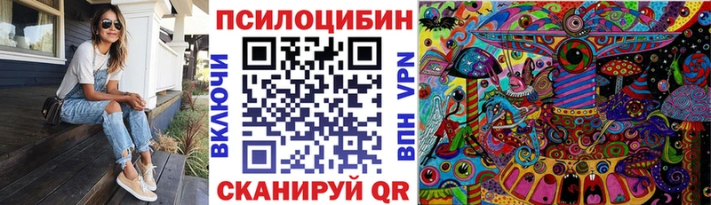 Псилоцибиновые грибы Psilocybe  Боготол 