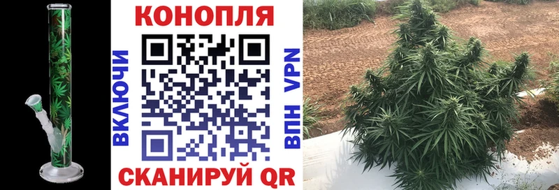 Шишки марихуана индика  закладка  Боготол 